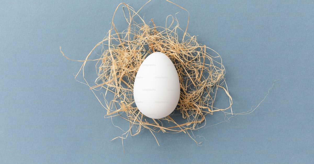 How Much Should You Contribute to Your 401(k)?